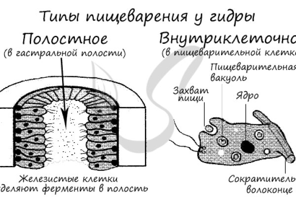 Как попасть на кракен