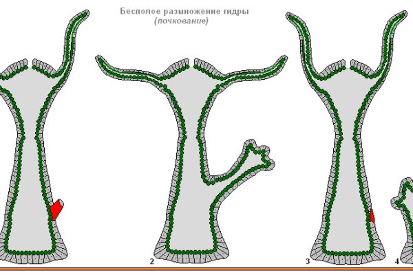 Кракен наркомаркетплейс