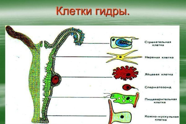 Почему не получается зайти на кракен