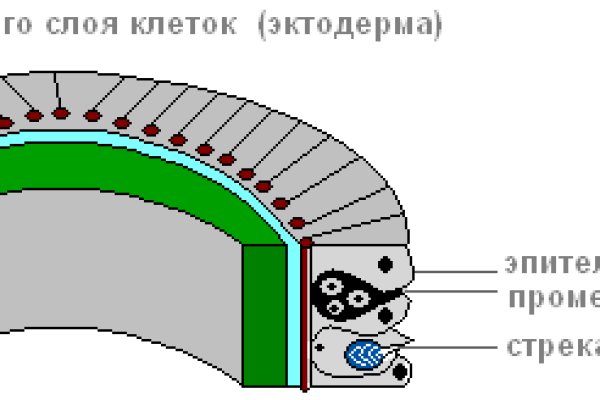 Ссылка на сайт кракен в тор