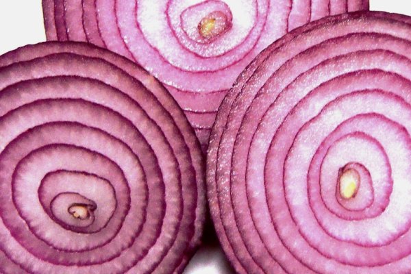 Kraken onion link