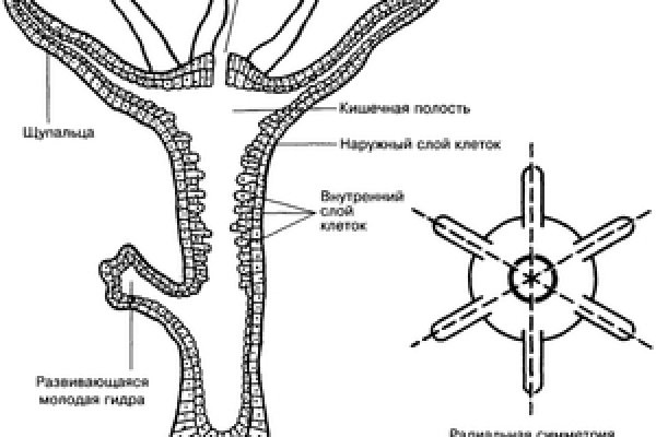 Кракен сайт ссылка