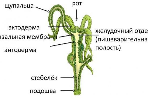 Кракен даркнет войти