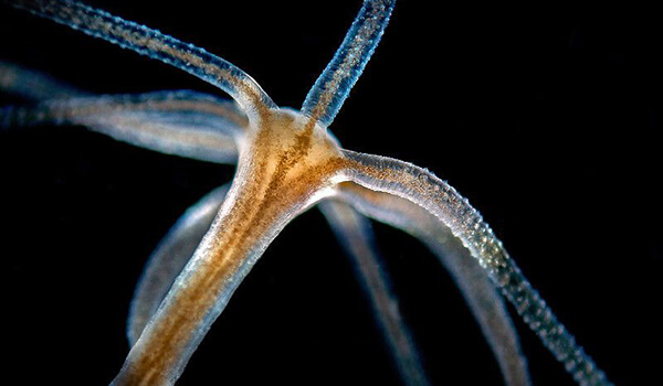Kraken ссылки актуальные 2025 г